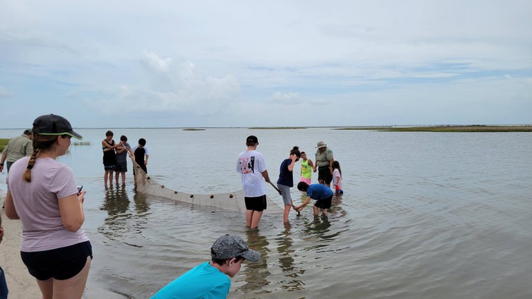Participants using a large seine net to collect fish and invertebrates in Galveston Bay. 