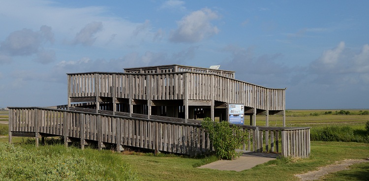 bird observation tower