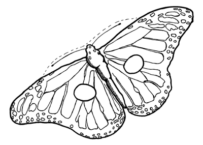 Monarch butterfly mask
