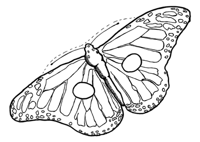 monarch butterfly mask template