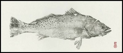 Speckled trout fish print