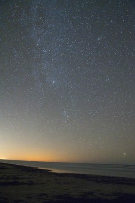 PINS beach -NIGHT_4462_72.jpg