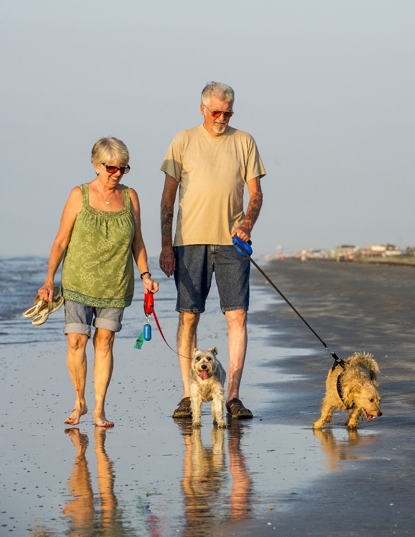 GISP_9047_folks on beach with dogs.jpg