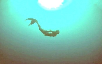 mermaid diver with flipper_sm.jpg