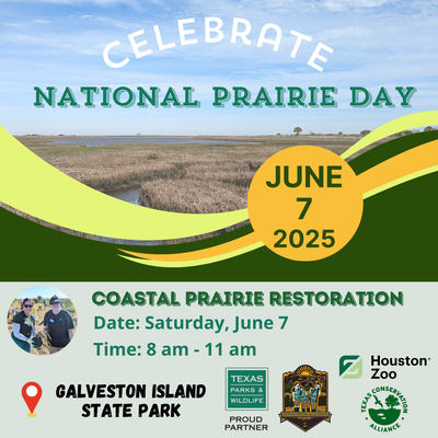 flyer for national prairie day with photo of coastal prairie with logos for the houston zoo, texas parks and wildlife, texas conservation alliance, and get outside alliance
