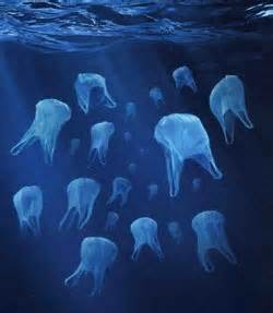 plastics in ocean