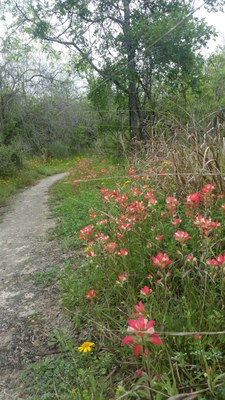Aranama Trail 