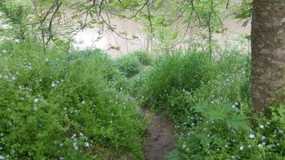 River Trail 