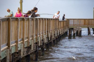 People fishing from pier