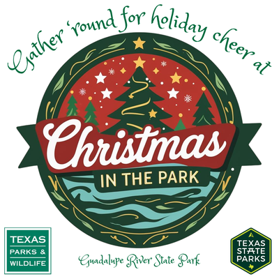 Cheerful Logo with Intertwined Christmas Tree and River (2).png