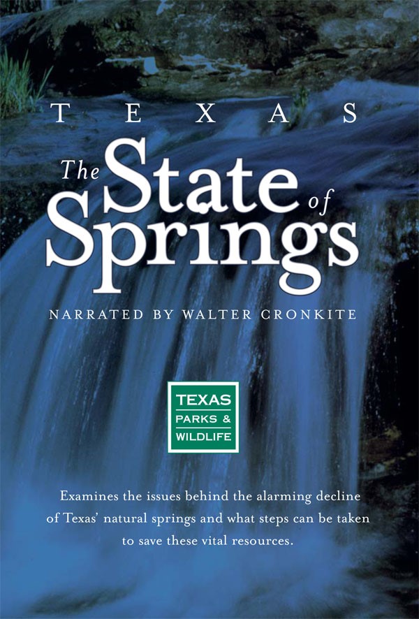 The State of Springs.jpg