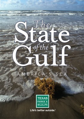 The State of the Gulf.jpg