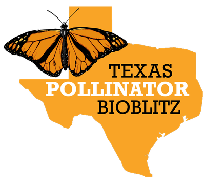 pollinator_img.png