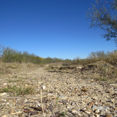 Lake Casa Blanca State Park Trail.jpg
