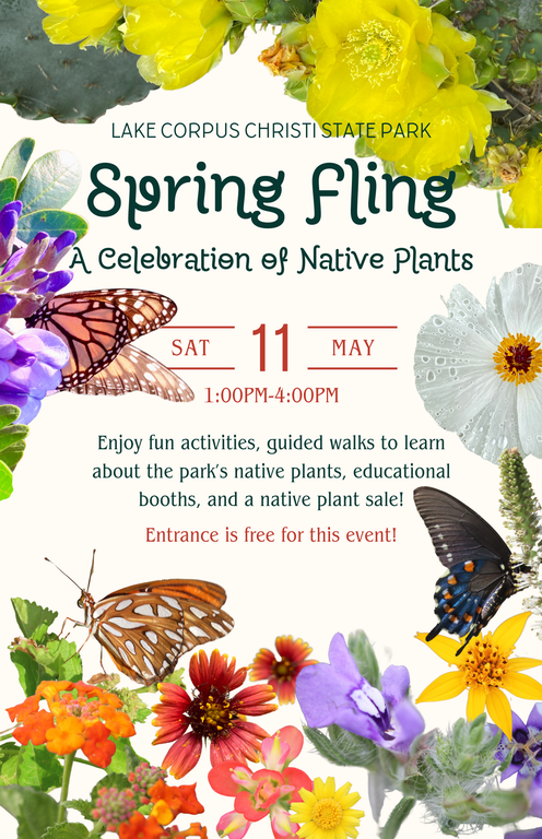 Flyer for the event restating information from the post. Native plants and butterflies surround the boarder.