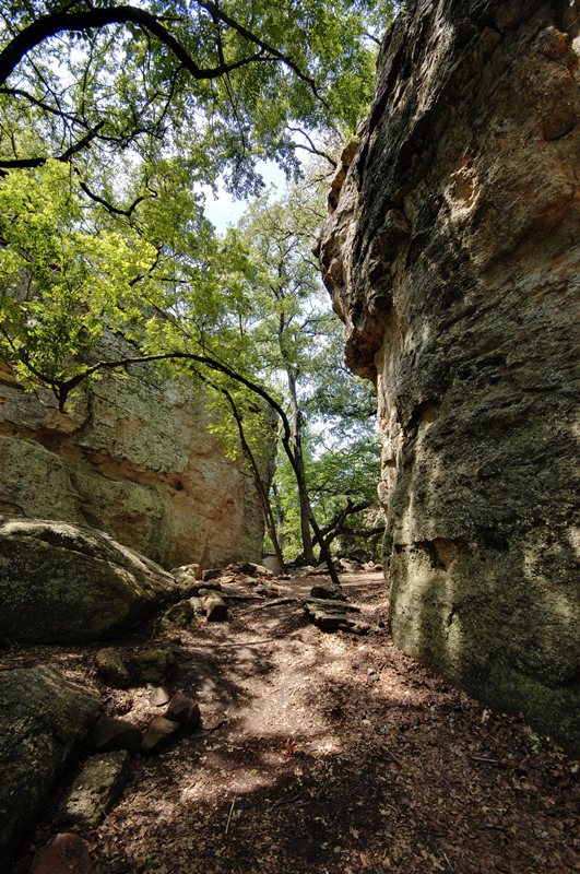 P Hollow Nature Hike