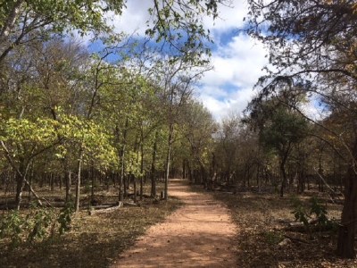LBJ TRAIL PHOTO_800p.jpg