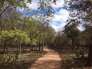 trail photo-1.jpg