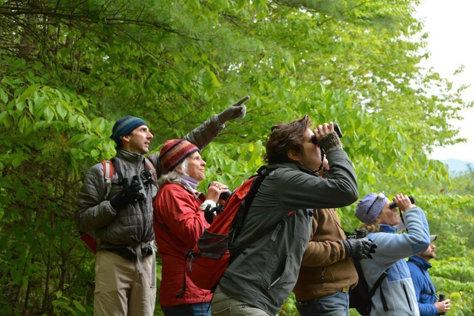 Birding For Beginners.jpg