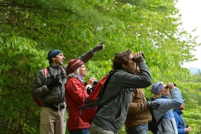 Birding For Beginners.jpg