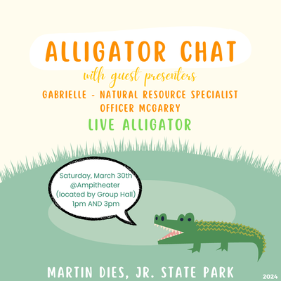 alligator 3-30.png