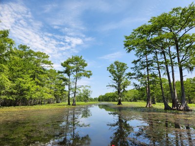 cherokee paddling trail.jpg