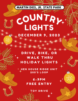 Country Lights - Digital.png
