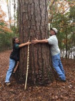 two people wrapping their arms around a tree trunk