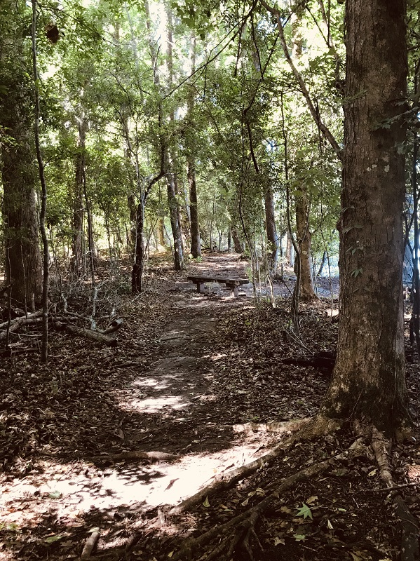 Island trail bench