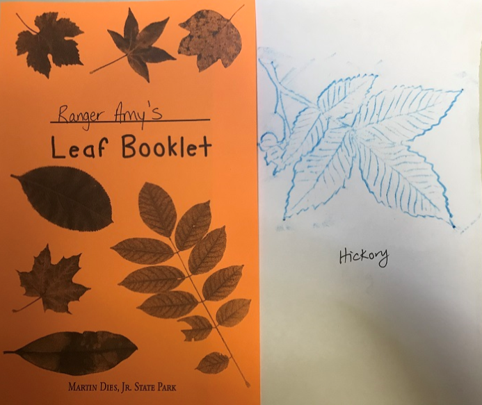 Leaf rubbing booklet