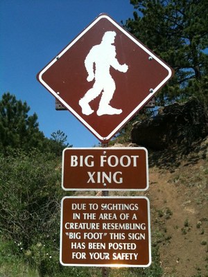 recent bigfoot sightings texas