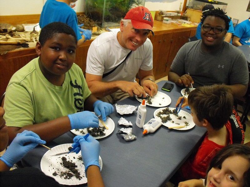 owl pellets