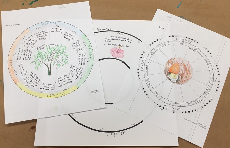 Phenology wheels