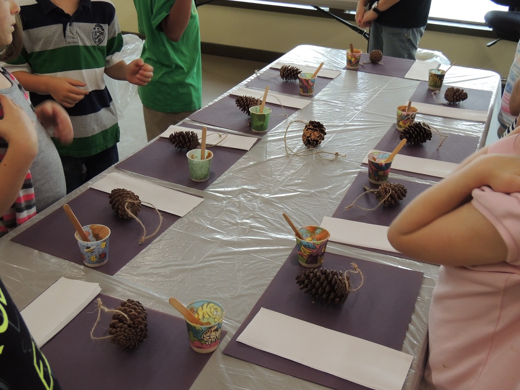 Pine cone bird feeder