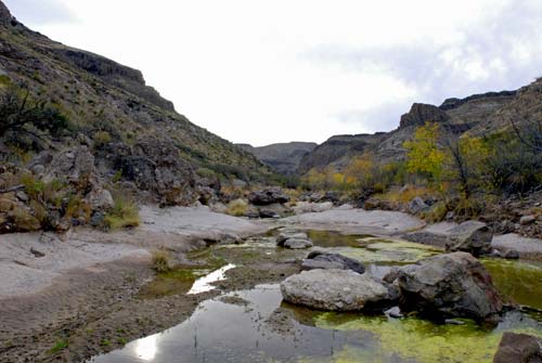big bend