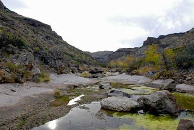 big bend
