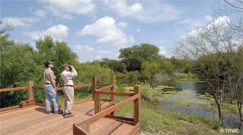 Estero Llano Grande