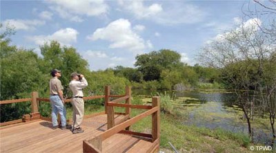 Estero Llano Grande