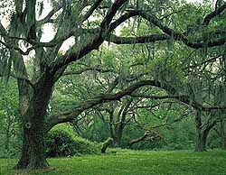 Brazos Bend PIC