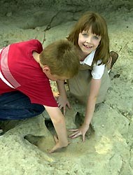 Dino Valley
