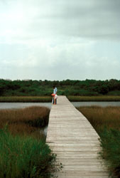 GalvestonIslandPIC