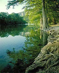 Garner
