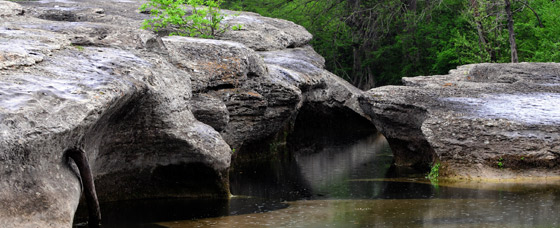 McKinney Falls PIC