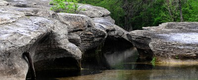 McKinney Falls PIC