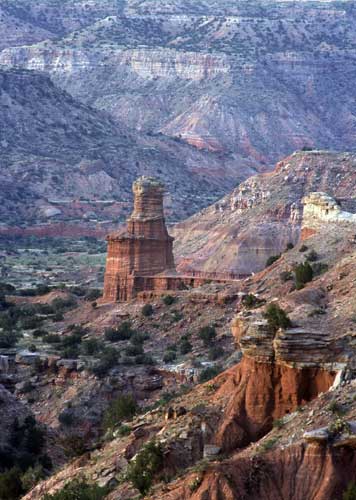 palo duro