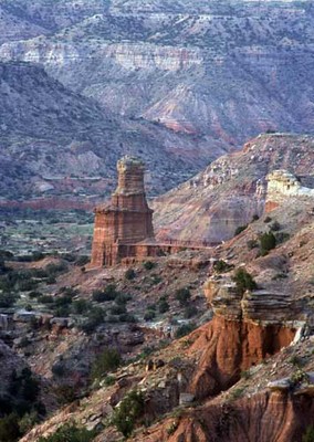 palo duro