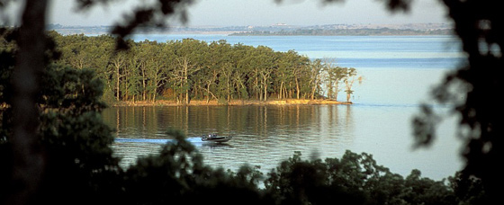 RayRobertsLake(All)PIC