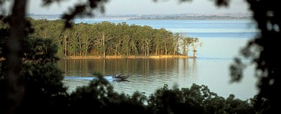 RayRobertsLake(All)PIC