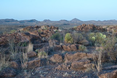 View at Big Bend