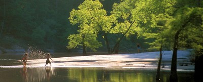 Village Creek PIC